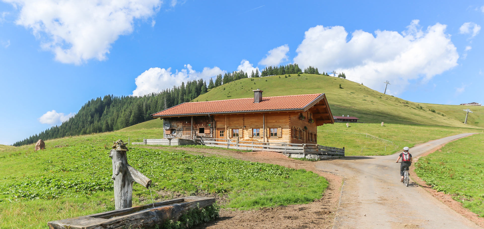 Alpine Holiday in Salzburg