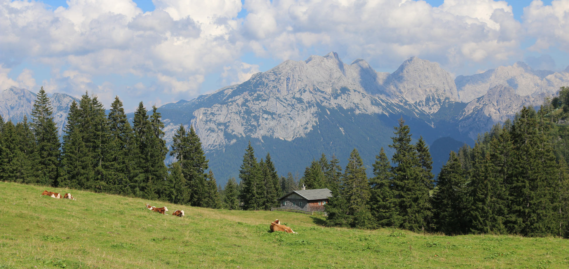 Summer holiday at the alpine hut