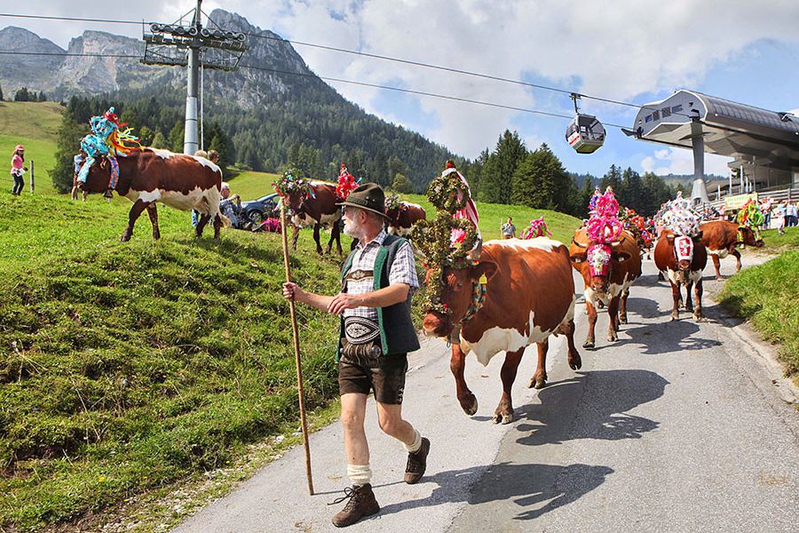 urlaub-saalachtal007