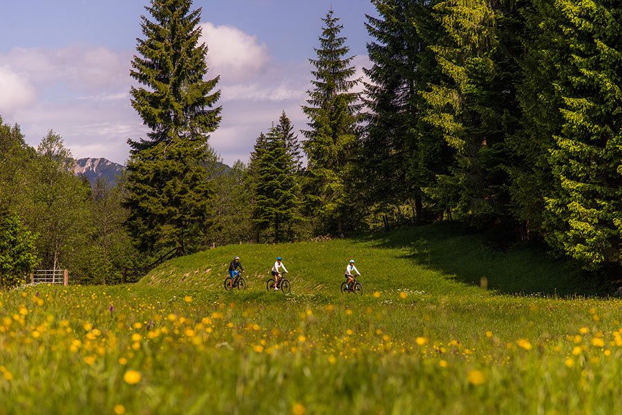 urlaub-saalachtal055